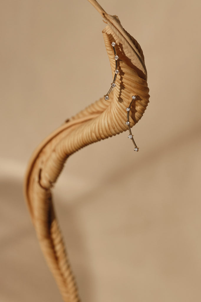 DROPLET EARRINGS